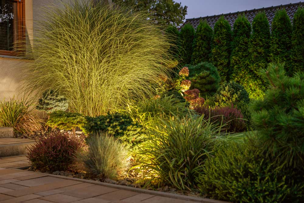 Landscape Lighting